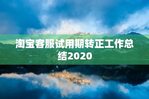 淘宝客服试用期转正工作总结2020