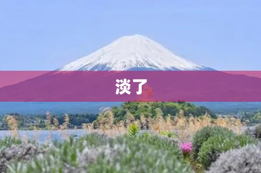 淡了