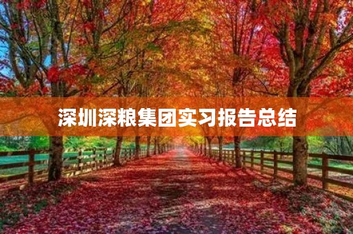 深圳深粮集团实习报告总结 深圳深粮集团实习报告总结