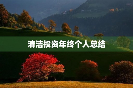 清洁投资年终个人总结 清洁投资年终个人总结