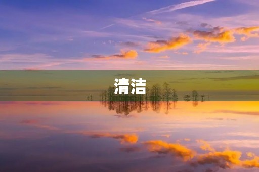 清洁 清洁