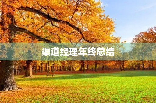 渠道经理年终总结