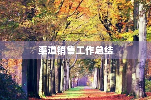 渠道销售工作总结