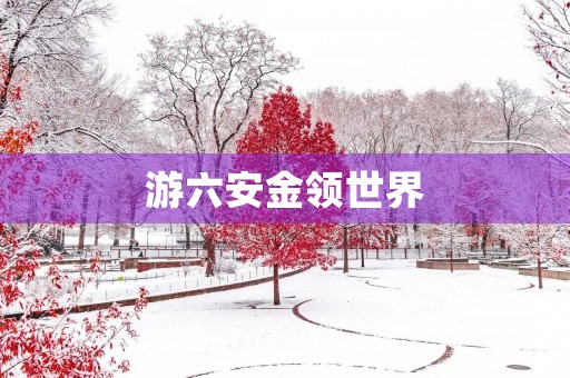 游六安金领世界