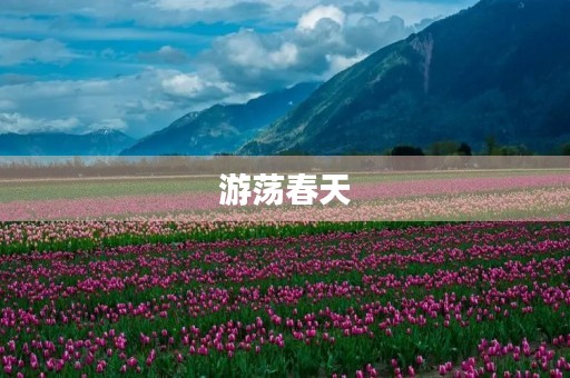 游荡春天