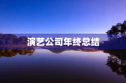 演艺公司年终总结