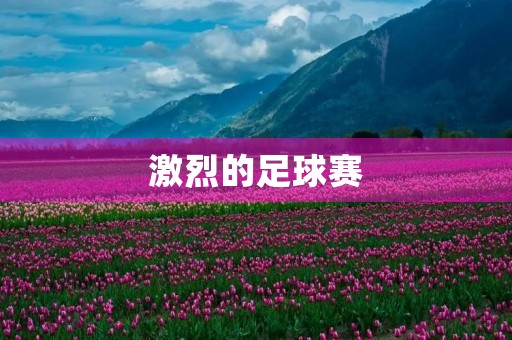 激烈的足球赛 激烈的足球赛