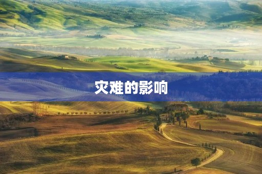灾难的影响