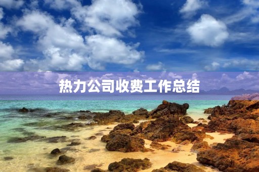 热力公司收费工作总结