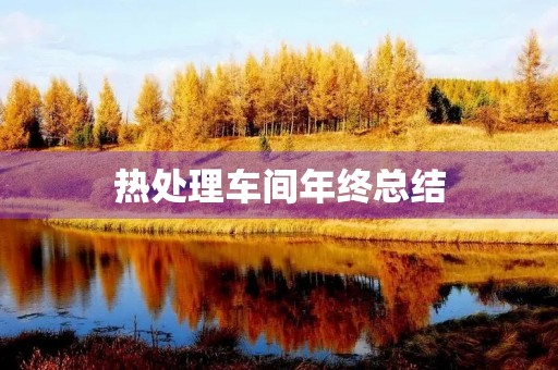 热处理车间年终总结