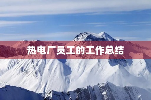 热电厂员工的工作总结