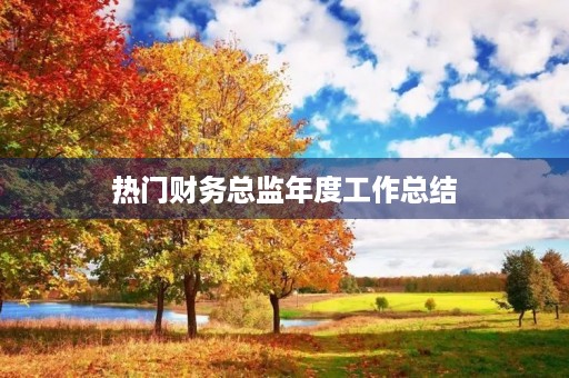 热门财务总监年度工作总结