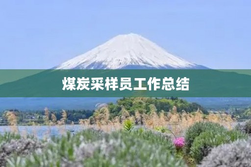 煤炭采样员工作总结