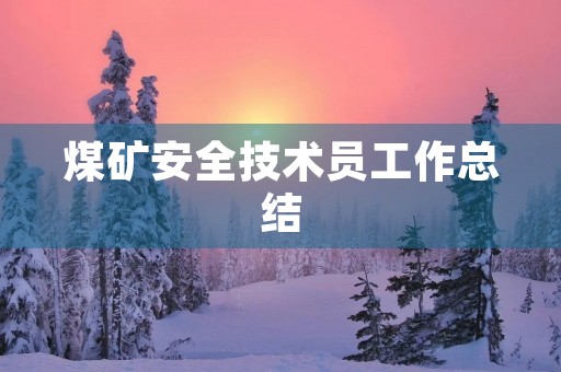 煤矿安全技术员工作总结