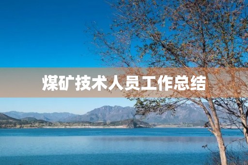 煤矿技术人员工作总结