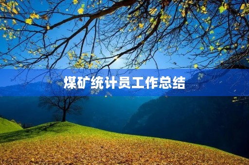 煤矿统计员工作总结