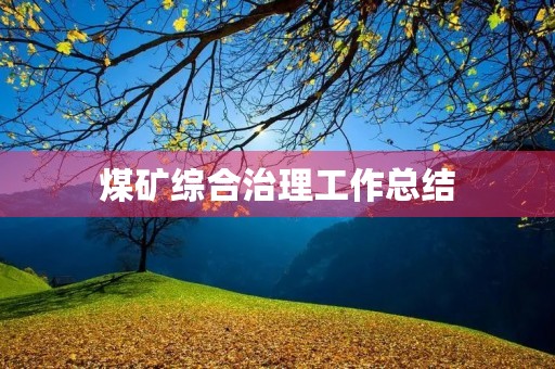 煤矿综合治理工作总结
