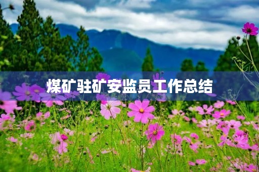 煤矿驻矿安监员工作总结