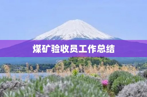 煤矿验收员工作总结