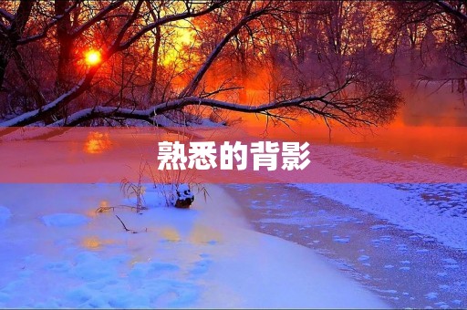 熟悉的背影 熟悉的背影