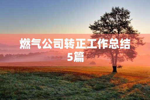 燃气公司转正工作总结5篇