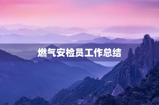燃气安检员工作总结