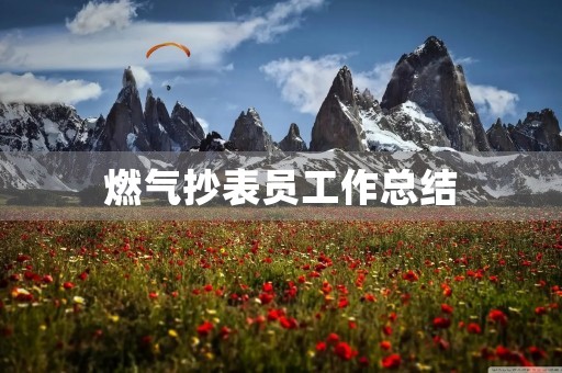 燃气抄表员工作总结