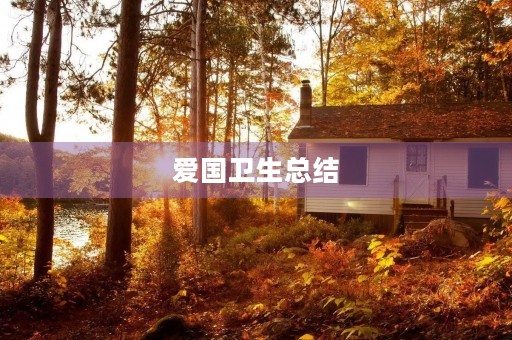 爱国卫生总结
