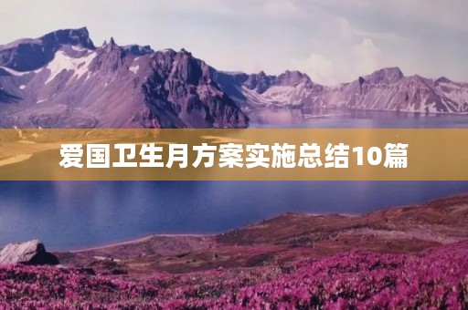 爱国卫生月方案实施总结10篇