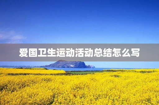 爱国卫生运动活动总结怎么写