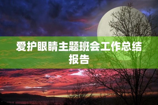 爱护眼睛主题班会工作总结报告