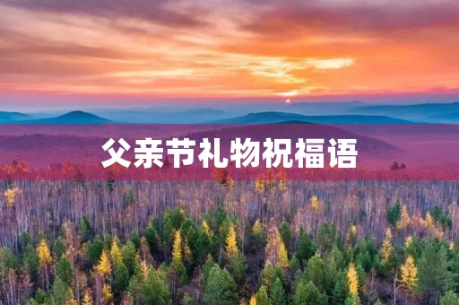 父亲节礼物祝福语