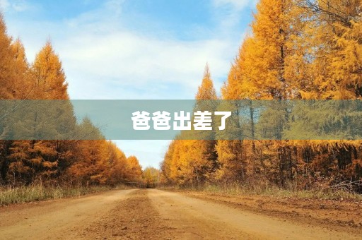 爸爸出差了 爸爸出差了