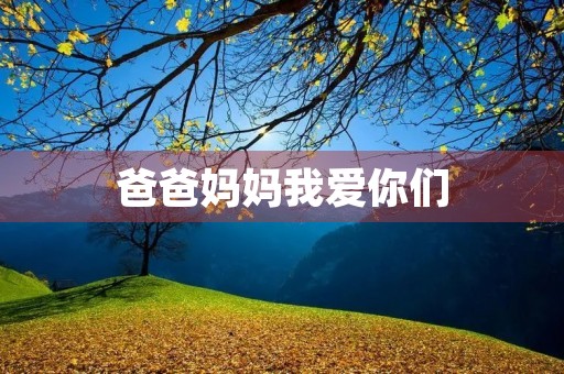 爸爸妈妈我爱你们 爸爸妈妈我爱你们