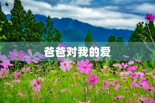 爸爸对我的爱