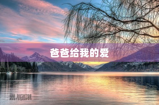 爸爸给我的爱