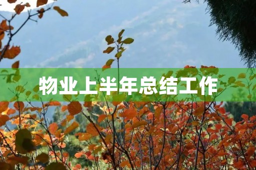 物业上半年总结工作
