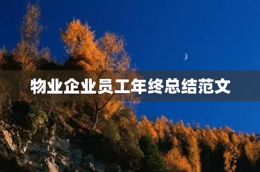 物业企业员工年终总结范文