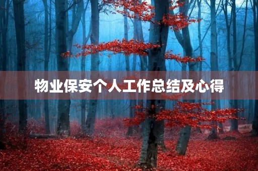 物业保安个人工作总结及心得