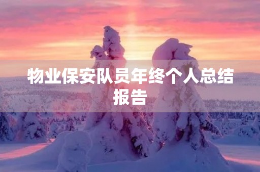 物业保安队员年终个人总结报告