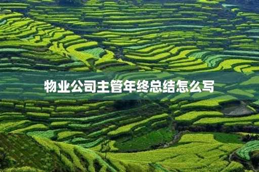 物业公司主管年终总结怎么写