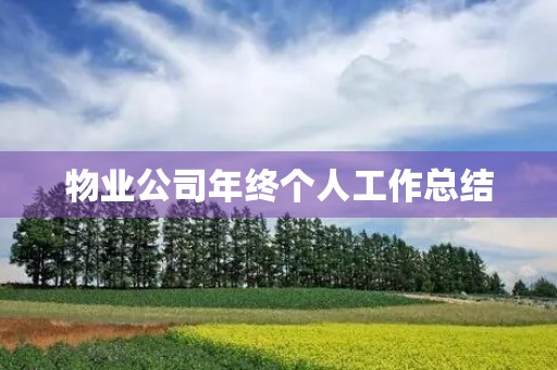 物业公司年终个人工作总结