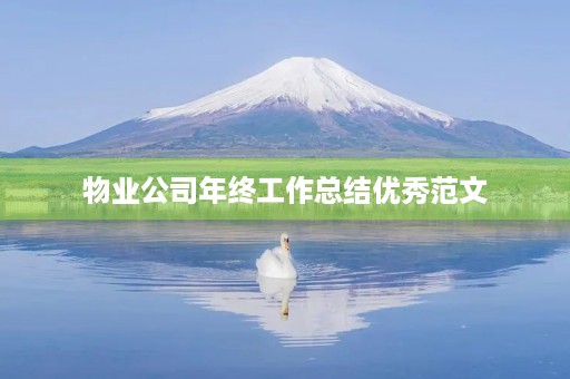 物业公司年终工作总结优秀范文 物业公司年终工作总结优秀范文
