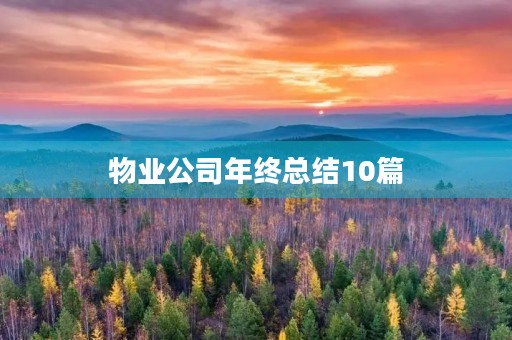 物业公司年终总结10篇