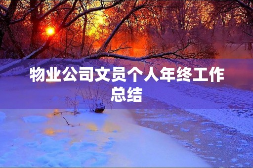 物业公司文员个人年终工作总结