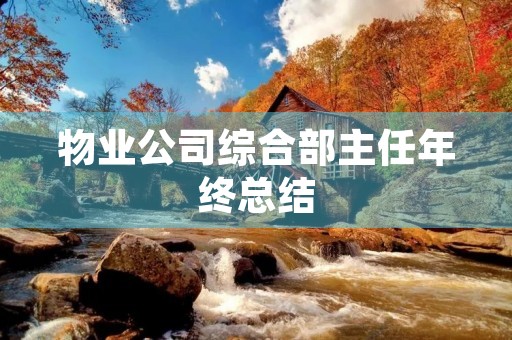 物业公司综合部主任年终总结