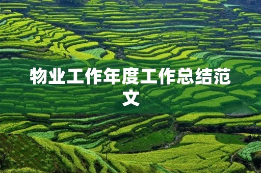 物业工作年度工作总结范文