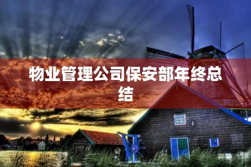 物业管理公司保安部年终总结