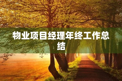 物业项目经理年终工作总结（10篇）
