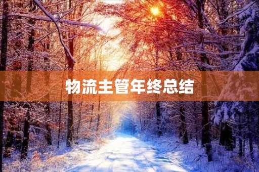 物流主管年终总结